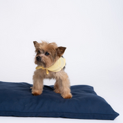 ComfyBum Rectangular Pet Bed
